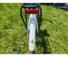 NOVO električno mestno kolo GoGoBest GM28 - Motor 350 W - 8