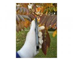 Pametni telefon Apple iPhone 15 Pro - 7