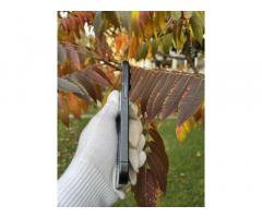 Pametni telefon Apple iPhone 15 Pro - 9