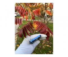 Pametni telefon Apple Iphone 13 mini 128gb 85% Bh - 7