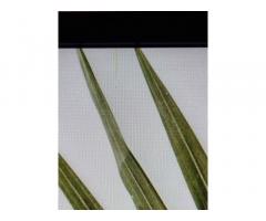 HP Omen Gaming prenosnik | AMD R7, RTX 3060, 16GB, 512GB | 15-en1266ng - 3