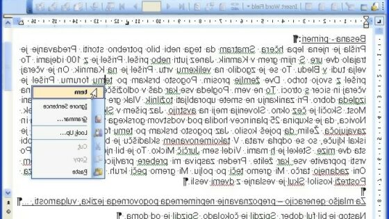 Na sliki je primer sprotnega preverjanja slovničnih napak - integracija Amebis Besane v Microsoft Word. Slovnične napake Amebis Besana podčrta zeleno.
