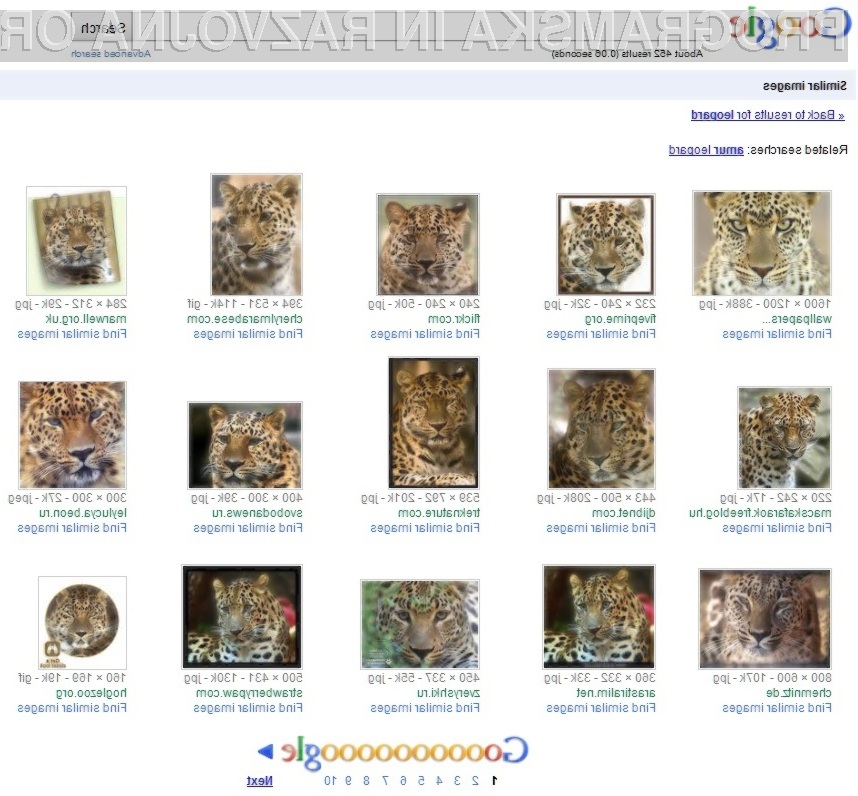 Prenovljena spletna storitev Google Images navdušuje!