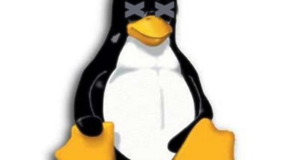 Uporabniki 64-bitnih distribucij Linux so izpostavljeni novi varnostni ranljivosti.
