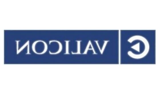 Absolutna negativka leta 2010 je Hilda Tovšak