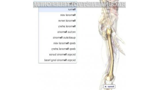 Spletna storitev Google Body Browser je kot nalašč za študente medicine.