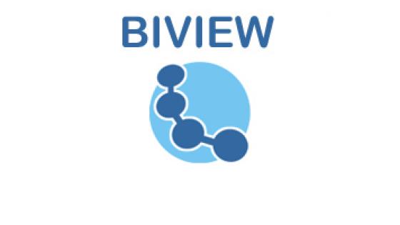 BIView  - rešitev za potrebe poslovnega obveščanja