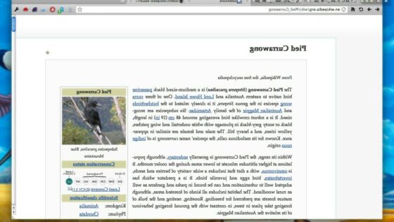 Oblikovno všečnejša Wikipedia!