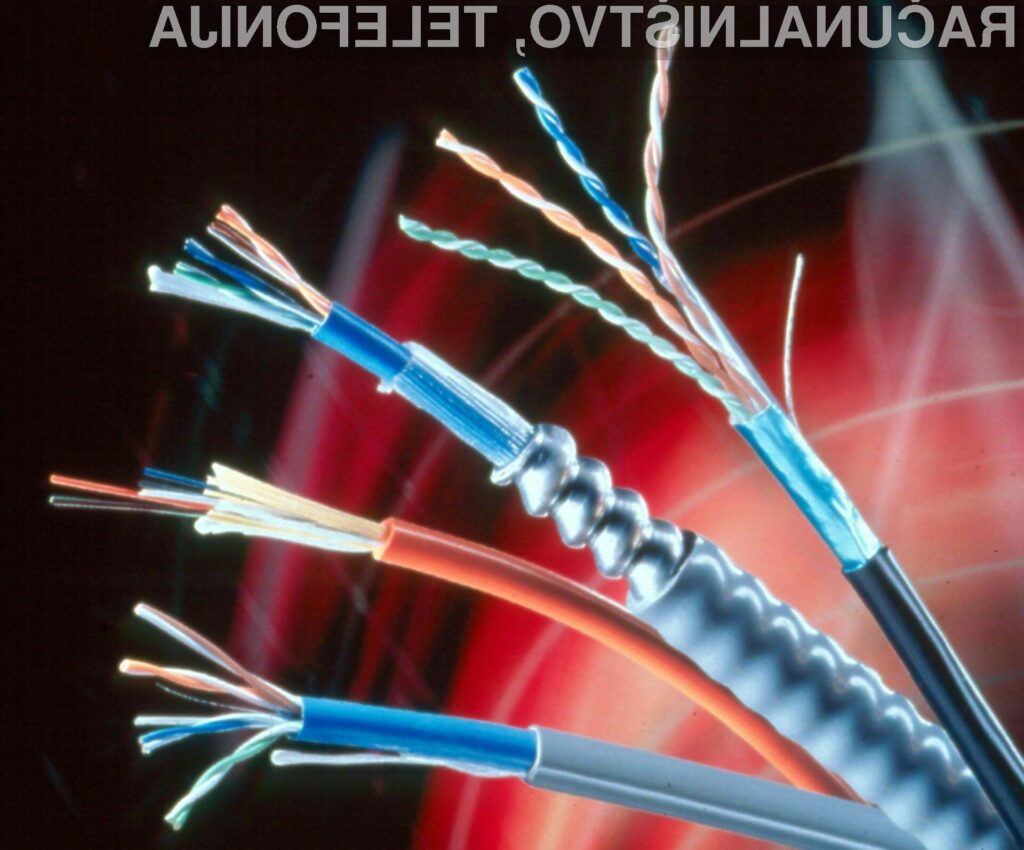 Starka je nehote presekala optični kabel in s tem povzročila izpad interneta tako v Gruziji kot Armeniji.