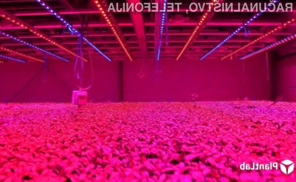 Za predelavo hrane kmalu ne bomo več potrebovali sonca
