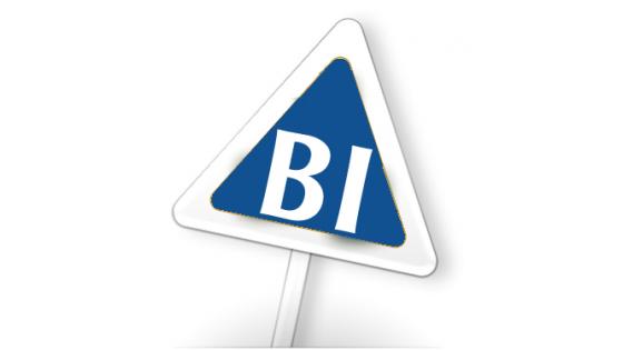 Pronet BI3 - Poslovna inteligenca