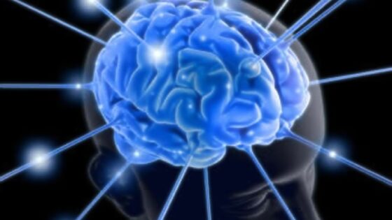 Verjamete, da lahko računalniške igre povzročijo spremembe v fizični strukturi možganov?
