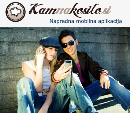 Mobilna aplikacija www.kamnakosilo.si