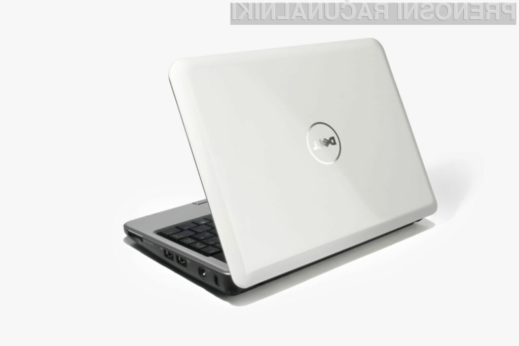 Dellova serija netbookov, poimenovana kot Mini, je bila določen čas precej popularna.