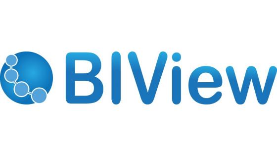 BIView na Dnevih slovenske informatike 2012
