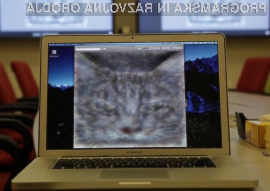 Googlovi umetni človeški možgani so se izkazali za nadvse učinkovite pri iskanju mačk na slikah.