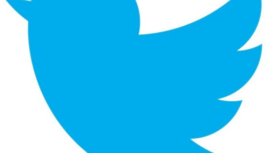 Twitter bo uporabnikom kmalu omogočil prenos vseh njihovih tvitov.