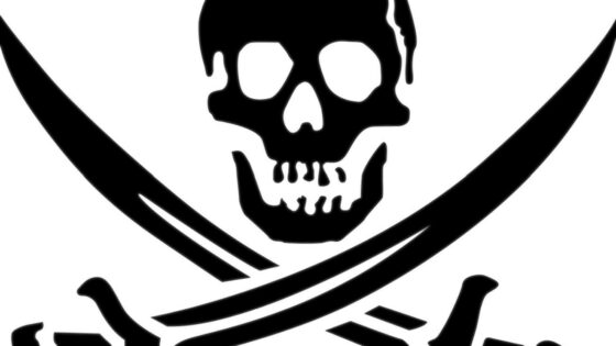 Bodo piratom v ZDA z novim programom šestih opozoril končno prišli do živega?