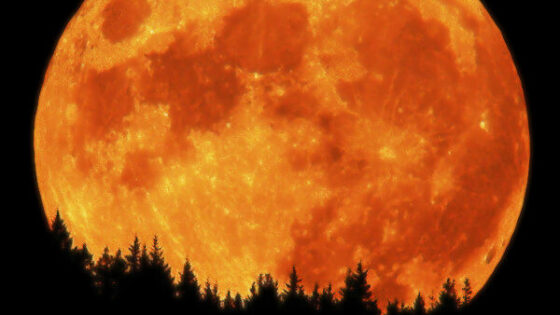 Lunarni turizem naj bi bil le še vprašanje časa in denarja!