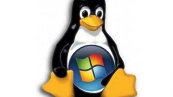 Bo Microsoft doletela enaka usoda kot podjetje Kodak?
