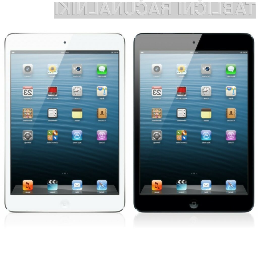 iPad mini je primeren za nekoliko manj zahtevne kupce.