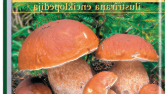 Knjiga Gobe - Ilustrirana enciklopedija