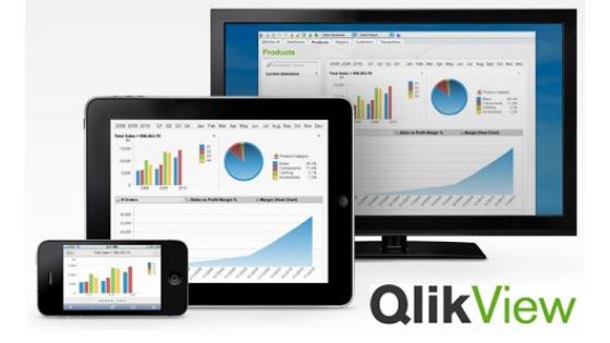 QlikView Business Discovery platforma