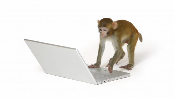 Kaj imajo skupnega opica, banana in programer?