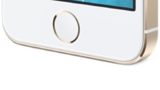 Mobilnik iPhone 6 se bo na račun večjega zaslona in hitre povezave WiFi še lažje prikupil ljubiteljem ogrizenega jabolka.