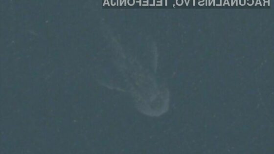 Mitološko bitje Nessie oziroma pošast iz jezera Loch Ness se je pojavilo na Applovem navigacijskem sistemu Maps.