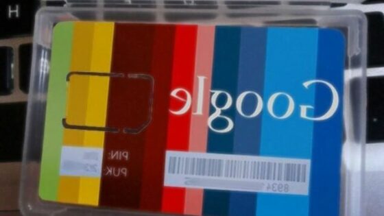Google bi lahko storitve mobilne telefonije začel ponujati še pred začetkom letošnjega poletja.