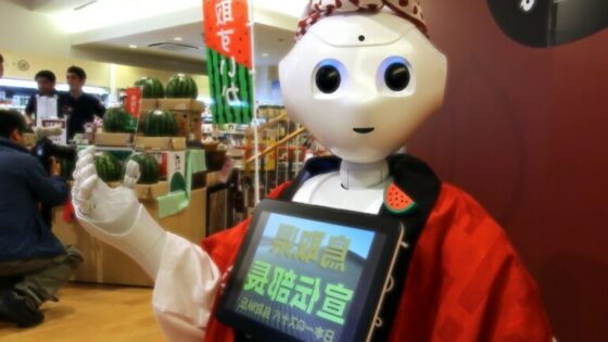 Robota Pepperja je prepovedano uporabljati za spolne aktivnosti.