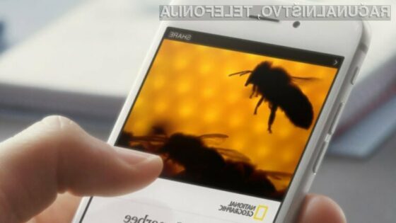 Novičarski portal Facebook Instant Articles se odlično prilega Applovim mobilnim napravam!