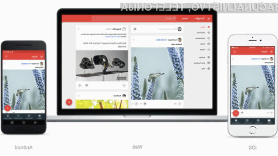 Prenovljeno družbeno omrežje Google+ je na las podobno Instagramu.