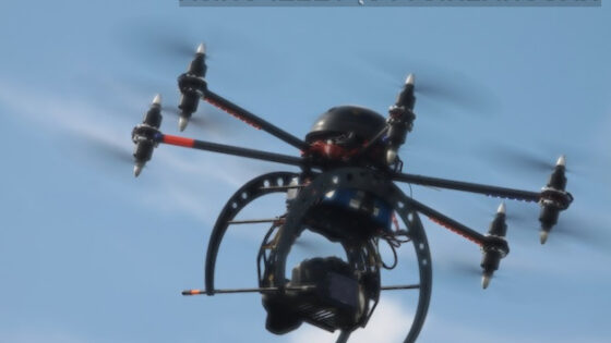 Orli so eno izmed najučinkovitejših orožji za boj proti dronom!