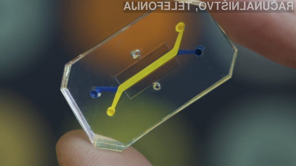 3D natisnjeno srce na čipu