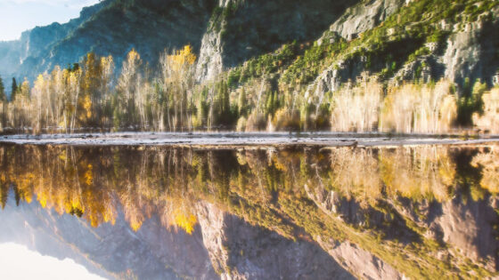 Poglejte fotografijo, ki je popolnoma obnorela svet