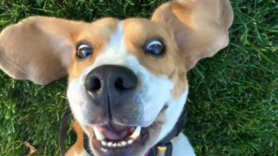 Uganete, koliko časa porabimo za en "selfie"?