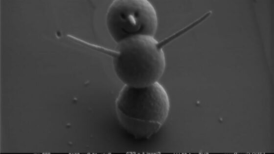 Najmanjši snežak na svetu v višino meri le tri mikrometre.