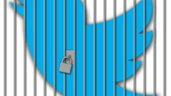 Za blažje kršitve bo uporabnikom Twitterja uporabniški račun ukinjen za 12 ur.