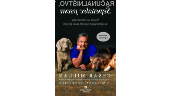 Šepetalec psom - Vodnik za razumevanje in odpravljanje pogostih težav pri psih