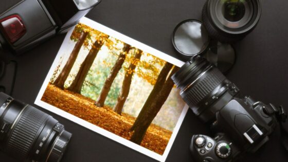 Nakupovalni vodič: Kateri fotoaparat je pravi za vas?