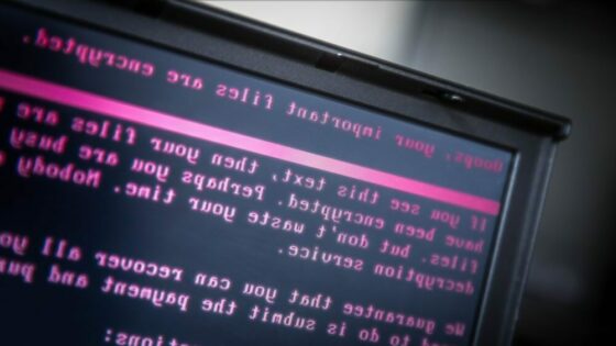 Glavni namen zlonamerne kode Petya naj bi bil uničevanje podatkov naključnih žrtev.