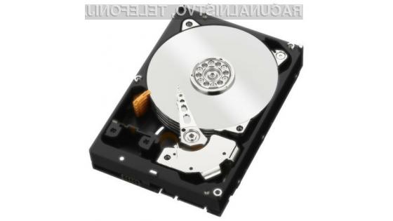 Prvi trdi diski kapacitete 40 TB naj bi bili naprodaj okoli leta 2025.