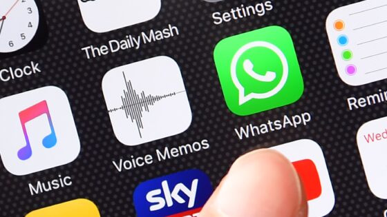 WhatsApp Business bo malim podjetjem znatno poenostavila poslovanje.