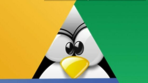 Bo odločitev Googla povzročila propad operacijskega sistema Ubuntu?