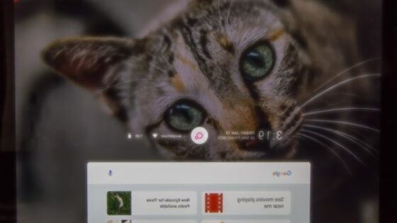 Operacijski sistem Google Fuchsia OS bi lahko v bližnji prihodnosti nadomestil tako Android kot Chrome OS.