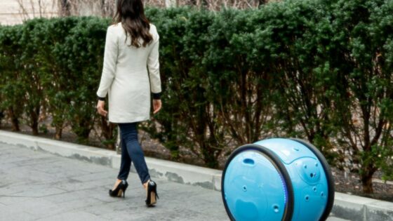 Pametni kovček Piaggio Gita bomo lahko kupili že v prvi polovici naslednjega leta.