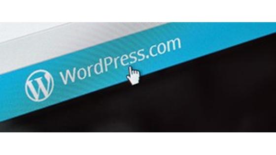 Skrita WordPress ranljivost