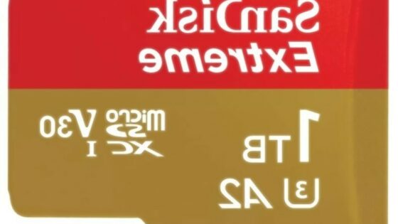 Terabajt na miniaturni pomnilniški kartici microSD